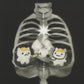 xray prints