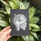 xray prints