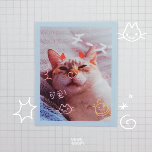 cheese polaroid sticker