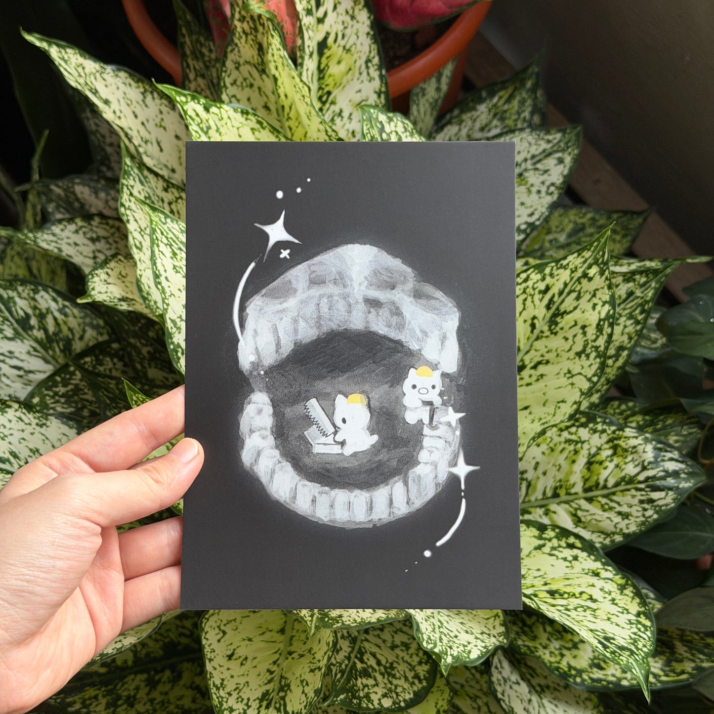 xray prints