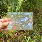 A hand holds a transparent sheet featuring colorful underwater jellyfish and sea creature illustrations against a blurred green outdoor background.