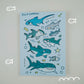 silly sharks sticker sheet