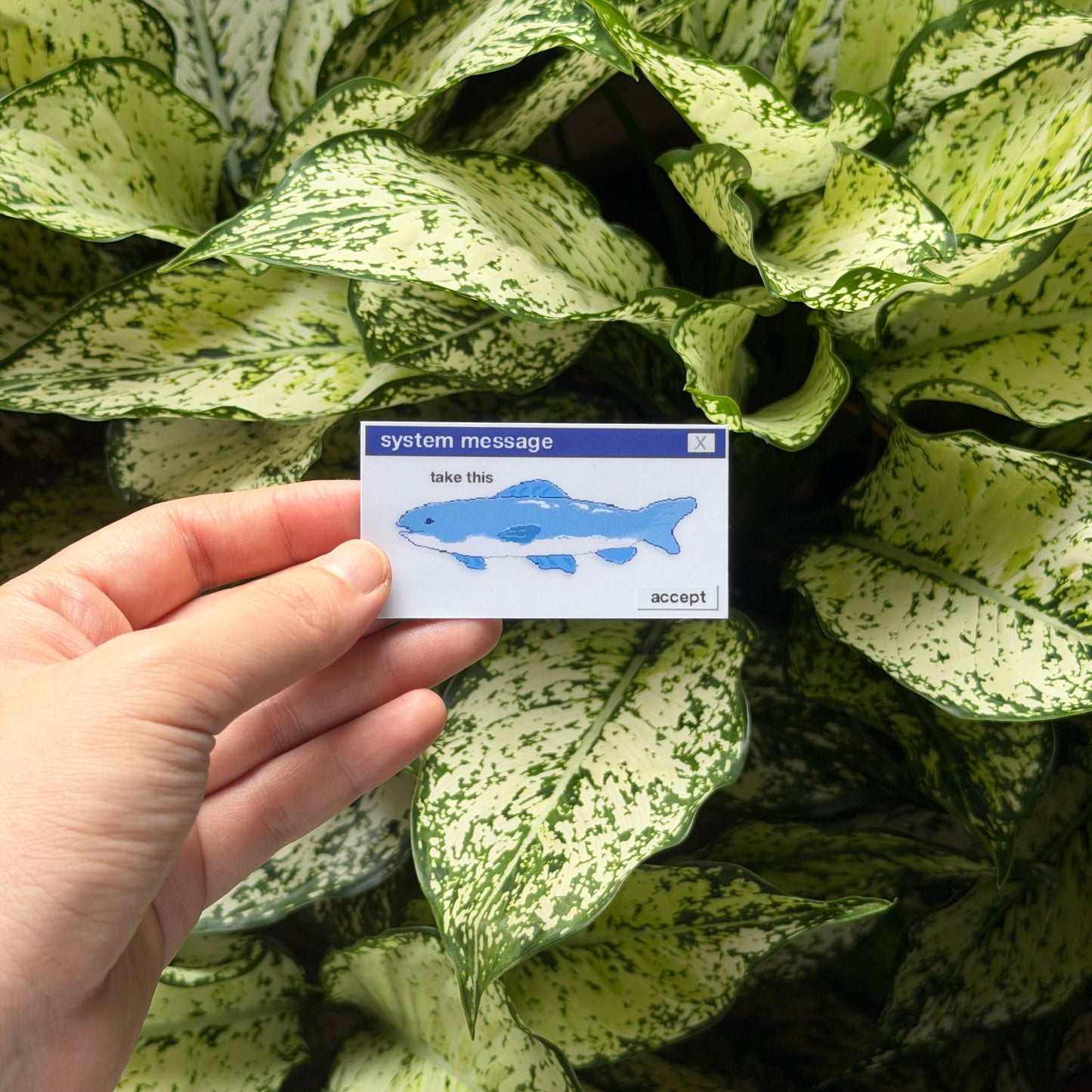 take this fish sticker