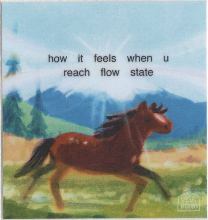 flow state horse sticker