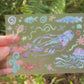 jellyfish sticker sheet (transparent)